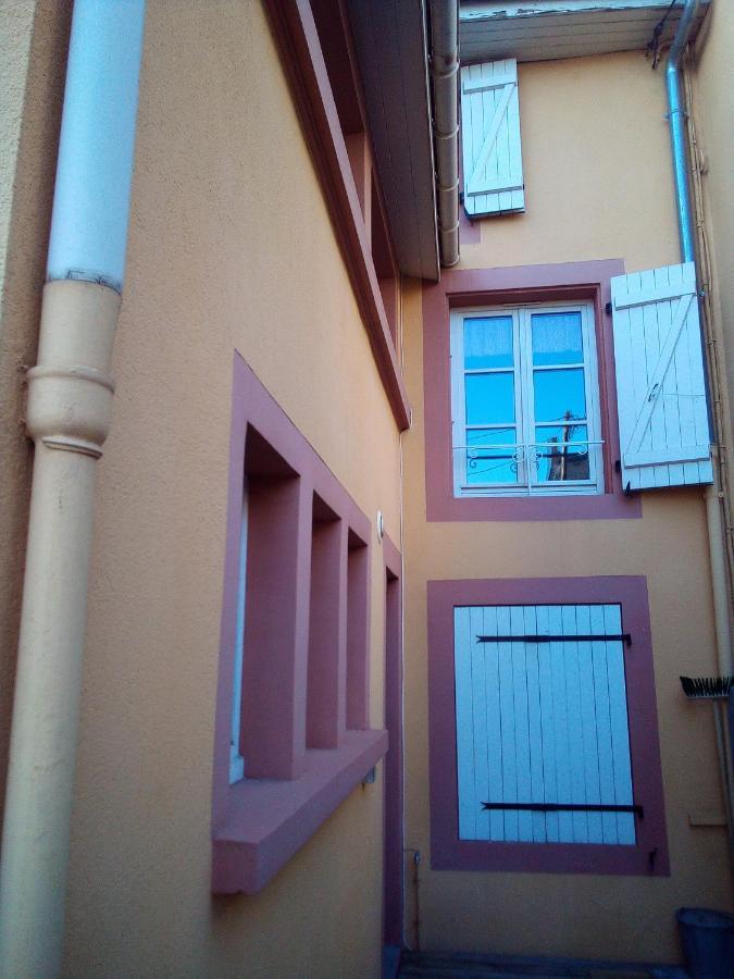 L'Oasis Maisonnette Centre Ville 3 Chambres Terrasse Espace Vert Prive Parc Sainte Croix Center Parc 20 Minutes ساريبورج المظهر الخارجي الصورة