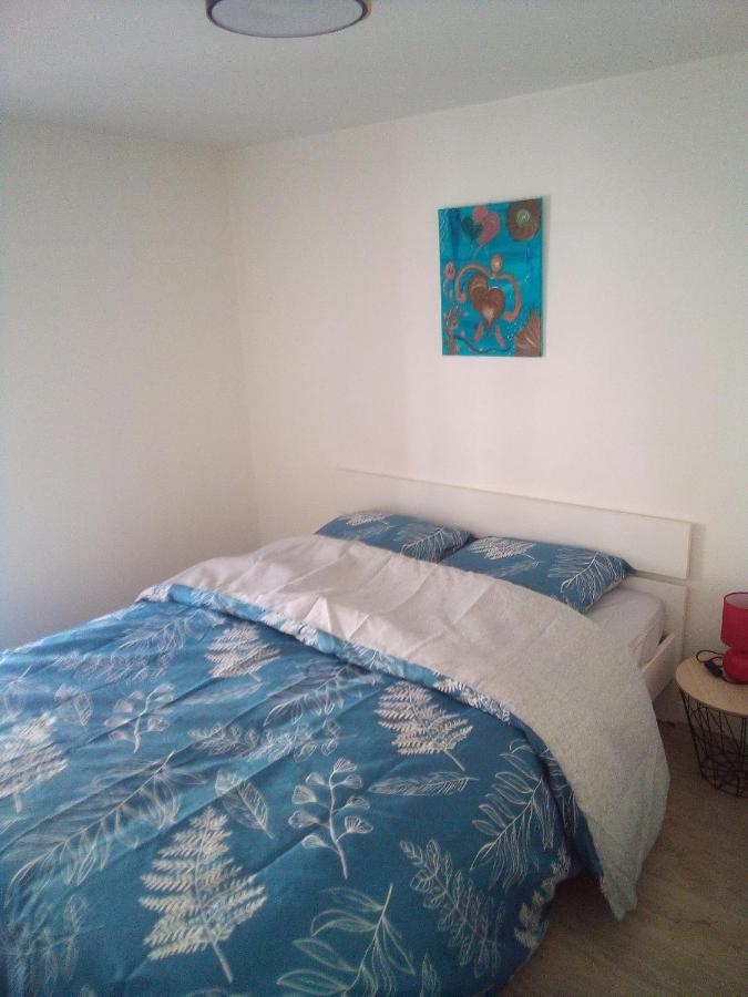 L'Oasis Maisonnette Centre Ville 3 Chambres Terrasse Espace Vert Prive Parc Sainte Croix Center Parc 20 Minutes ساريبورج المظهر الخارجي الصورة