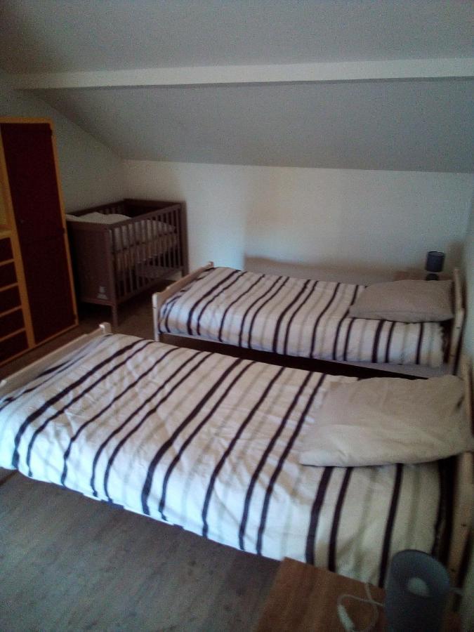 L'Oasis Maisonnette Centre Ville 3 Chambres Terrasse Espace Vert Prive Parc Sainte Croix Center Parc 20 Minutes ساريبورج المظهر الخارجي الصورة
