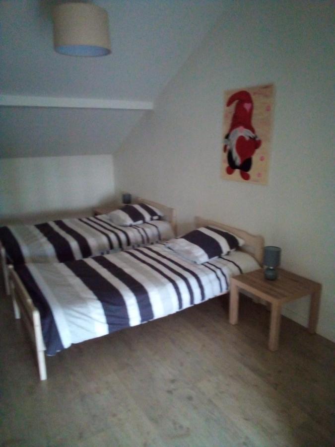 L'Oasis Maisonnette Centre Ville 3 Chambres Terrasse Espace Vert Prive Parc Sainte Croix Center Parc 20 Minutes ساريبورج المظهر الخارجي الصورة